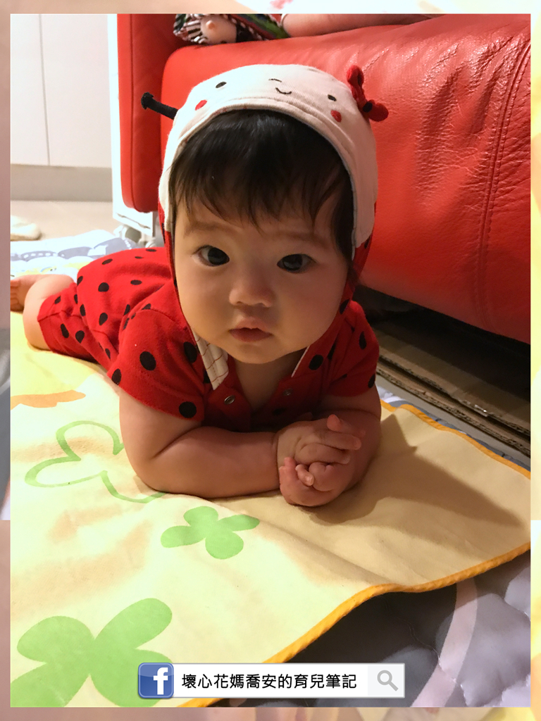 淘氣小瓢蟲來拜票
